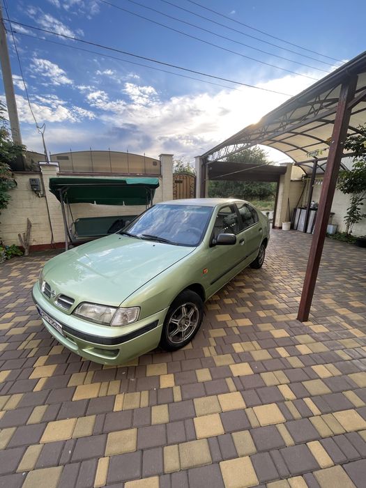 nissan primera