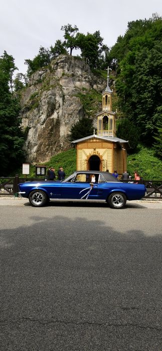 Ford Mustang 1967 rok do ślubu, eventy, filmy, sesje zdjęciowe,