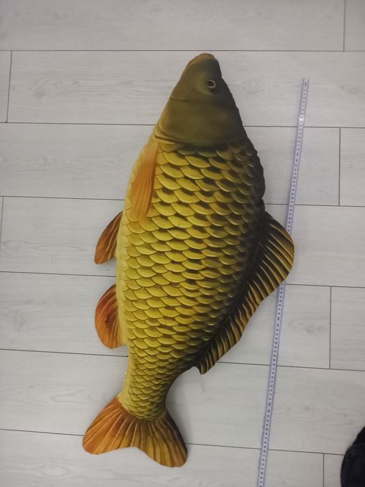 Pluszak ryba karp
