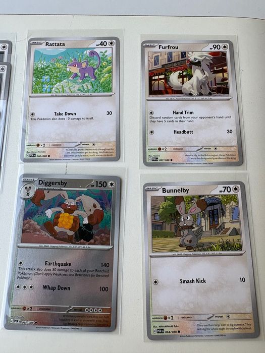 Pokémon - Perfect Order