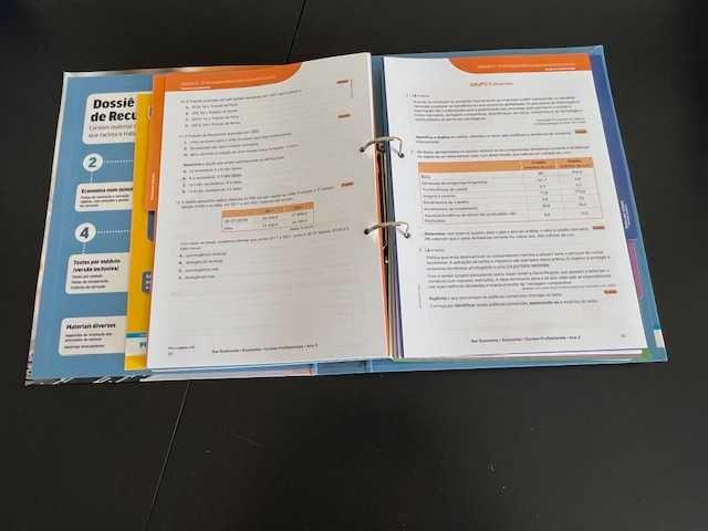 Conj. Pedagóg. - Economia - Profissional - "Ser Economia"- (M:5/6/7/8)