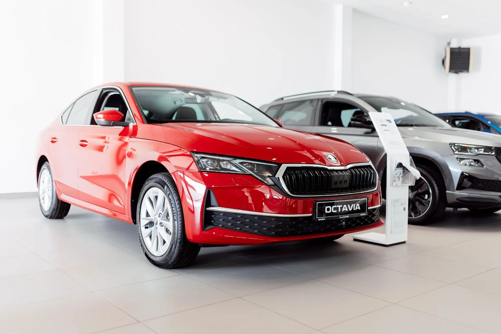 business-site-gallery-photo