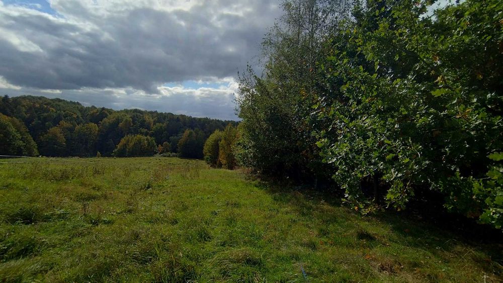 Zdecydowanie i bezpośrednio sprzedam działkę budowlaną 25 ar Siepraw