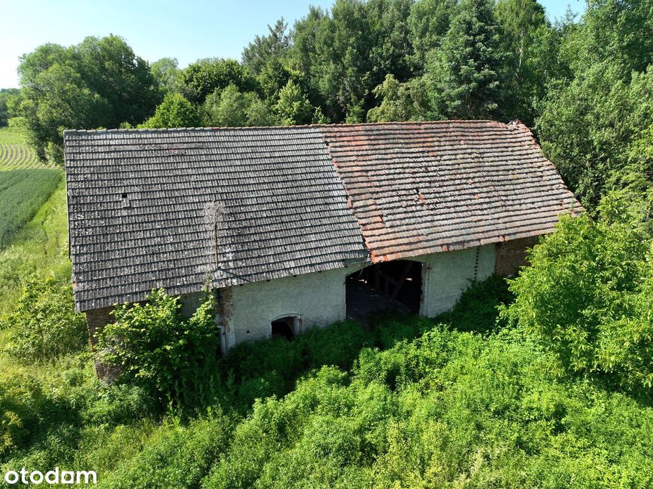 Siekierkowo - nieruchomość z 3 budynkami (siedlisko) - View 4