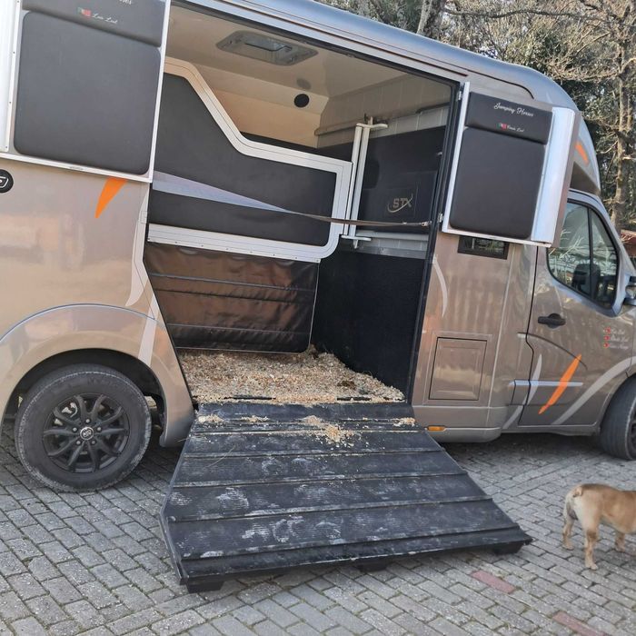 Renault Master STX Transporte cavalos 5 lugares