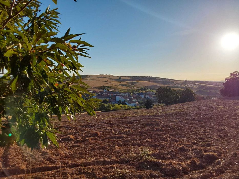 Quarto partilhado em Bragança