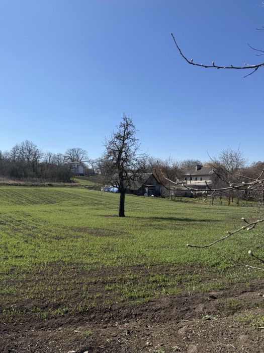 Продам будинок в с. Боднарівка