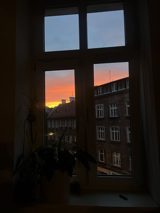 Zdjęcie 8