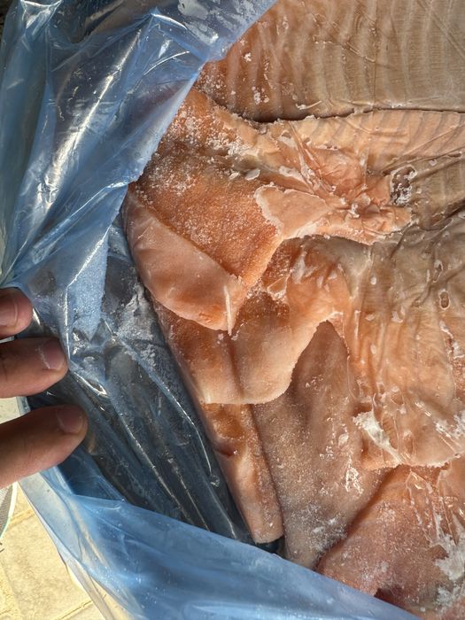 Лосось обрізь з спини