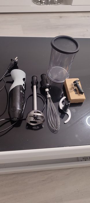 Blender ergomix Bosch