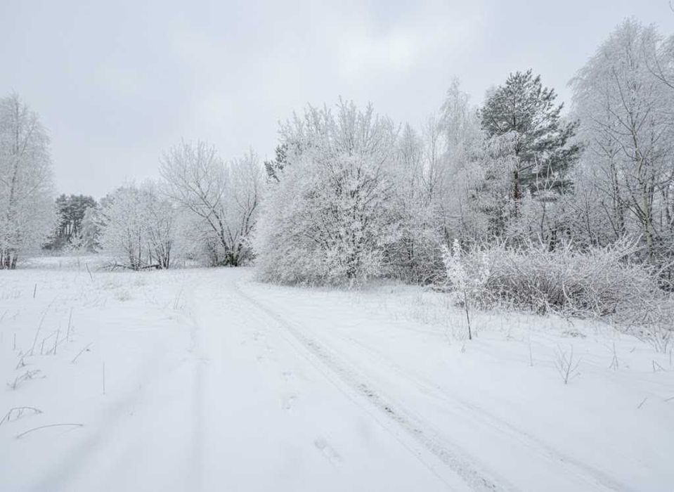 Продаж ділянки 25сот під забудову. Поряд озеро. Біля лісосмуги. ID:405