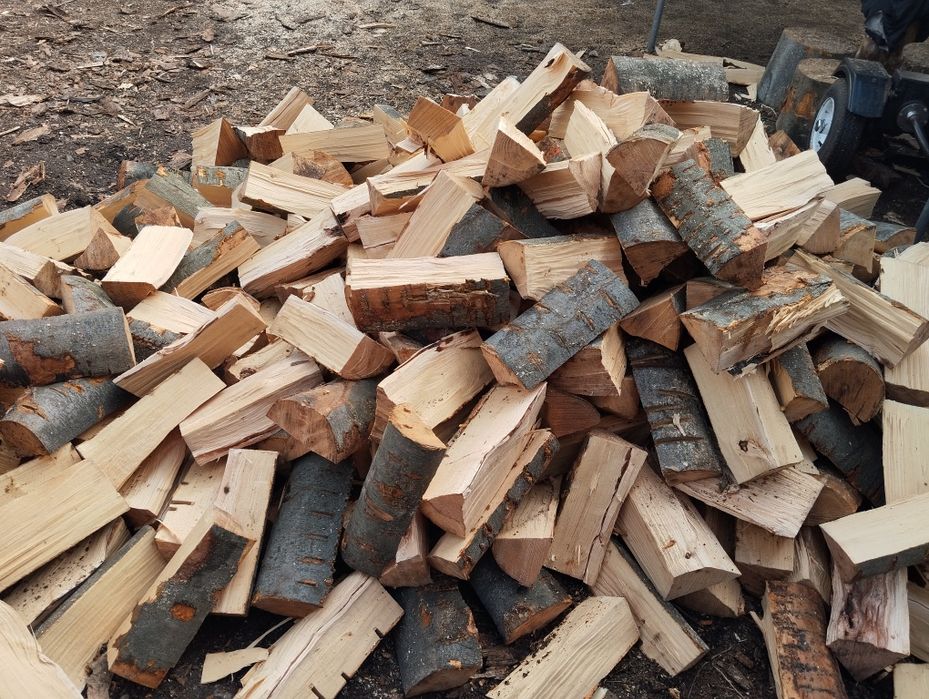 Drewno kominkowe buk