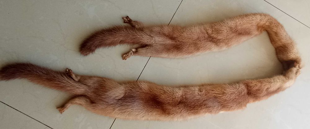 Futerko naturalne norki 2 szt. szal obszycie kołnierza kaptura jasny