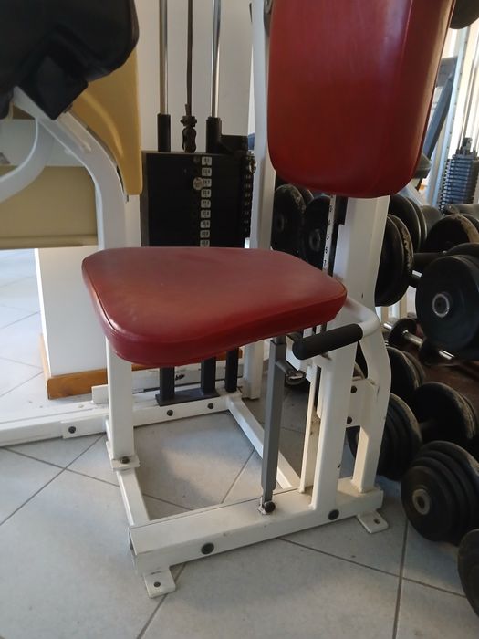 Bíceps Nautilus Preacher Curl