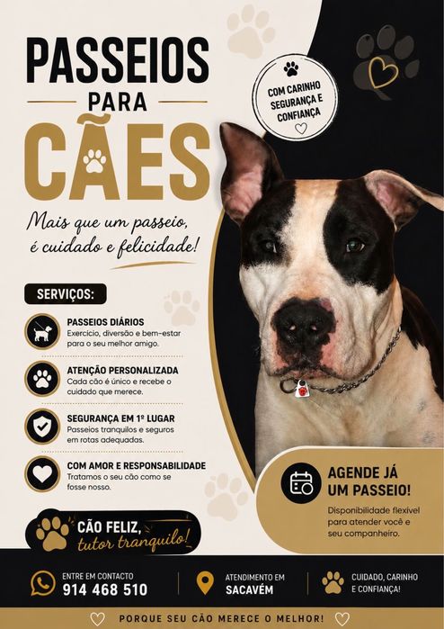 Passear caes  zona de Sacavem