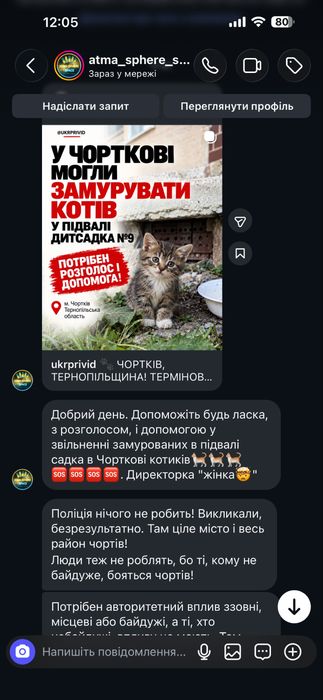 Малята шукають дім цуценята