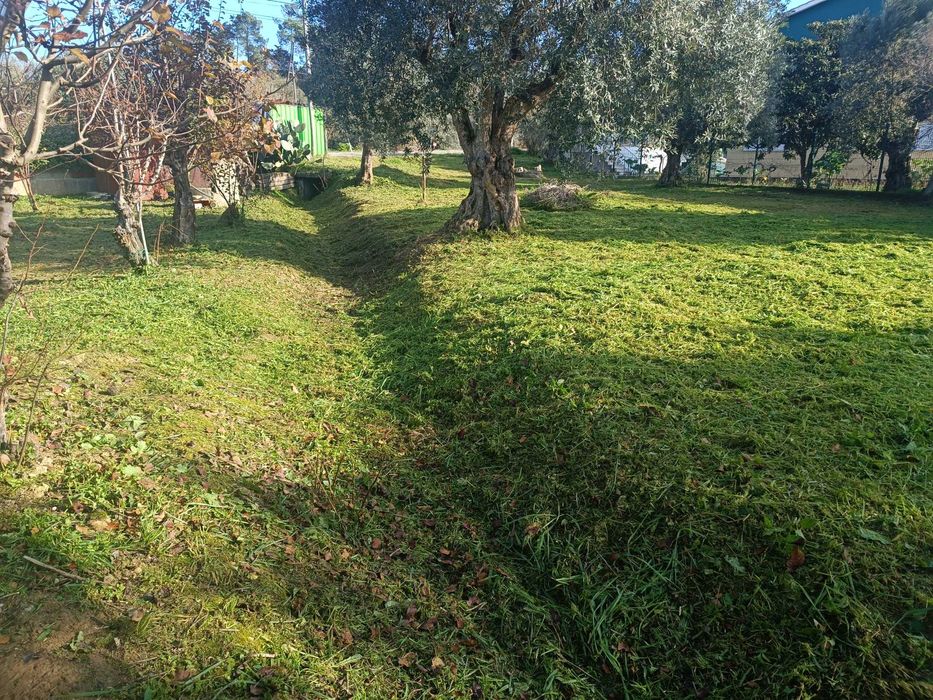 Limpeza e manutenção de terrenos e jardins