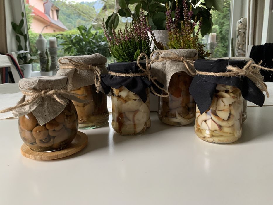 Pieniny Biały Domek Krościenko nad Dunajcem.