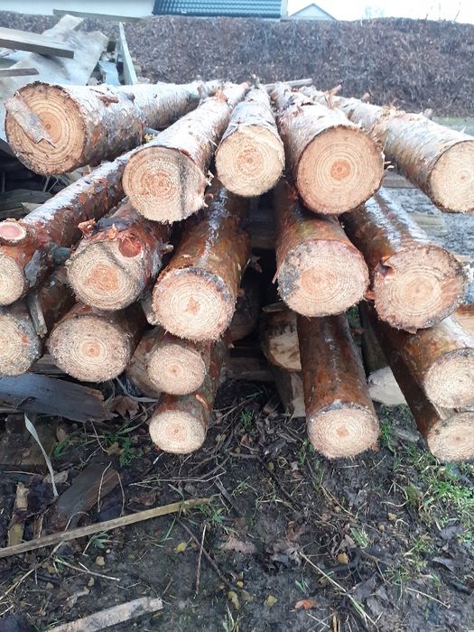 STEMPLE BUDOWLANE SOSNOWE NOWE WYSOKOŚć 3m Radom radom radom radom rad