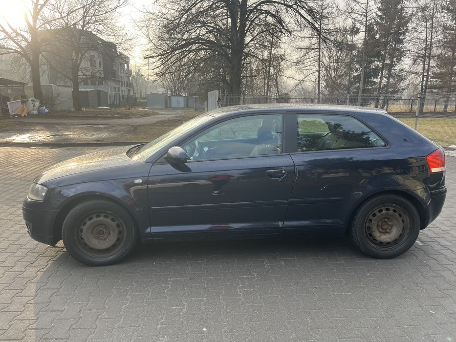 Audi A3 8P 2004 1.9 TDI