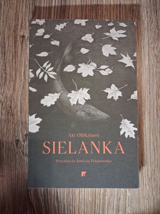 Sielanka - Aki Ollikainen