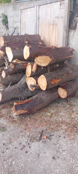 Lenha de Cedros.