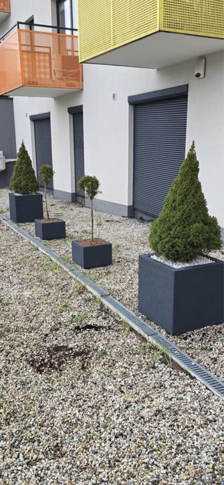 Termo Donice na Wymiar