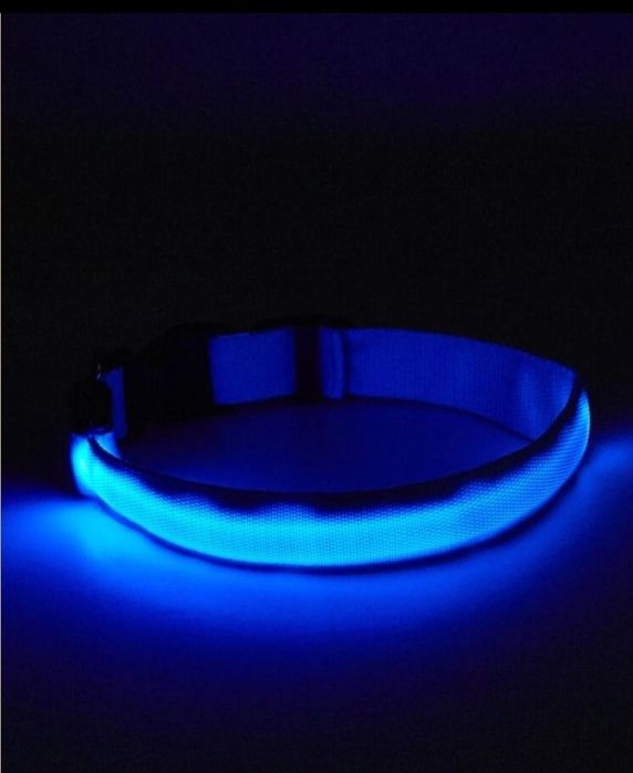 Trela/Coleira com luz LED para animais (PREVINE ACIDENTES/PERDAS)