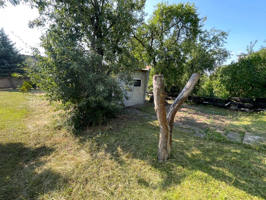 Duża działka ROD (Nowy Kanał) w atrakcyjnej i dobrze skomunikowanej okolicy (prąd, studnia, murowana altana) - Widok 2