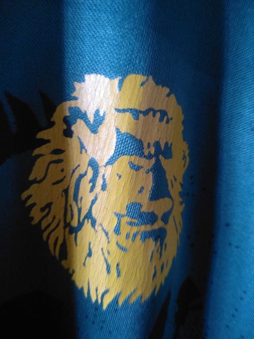 Футболка. Камерун. Самюэль Это*О. Барселона Испания/Интер Милан Италия