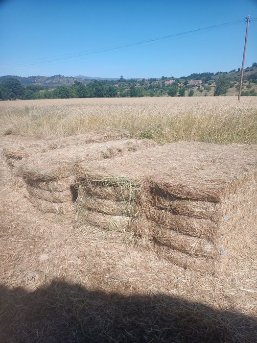 Feno mistura fardos grandes