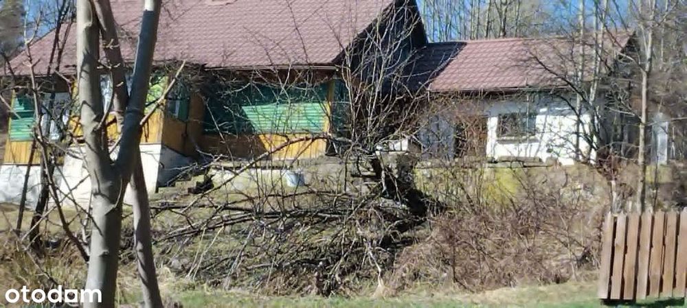 Sprzedaż gospodarstwa z widokiem na Babią Górę – ok. 2,5 ha - Więcej