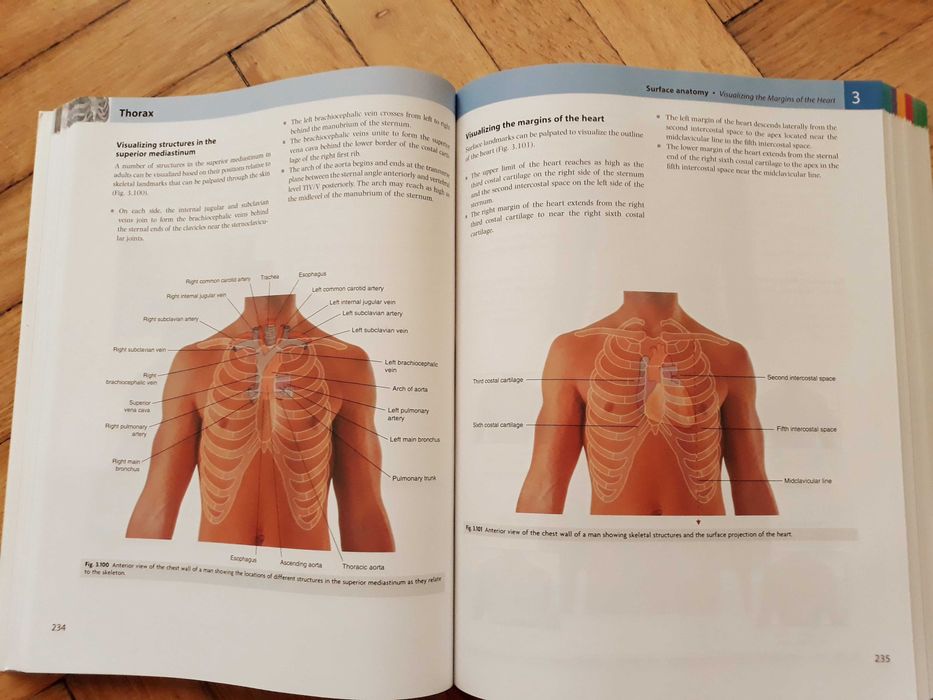 NOWA Anatomia Grey'a (angielski) na MEDYCYNĘ