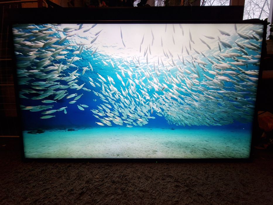 Tv Panasonic 55" 4K SMART WiFi DVBT-2 Hevc UHD HDR telewizor LED