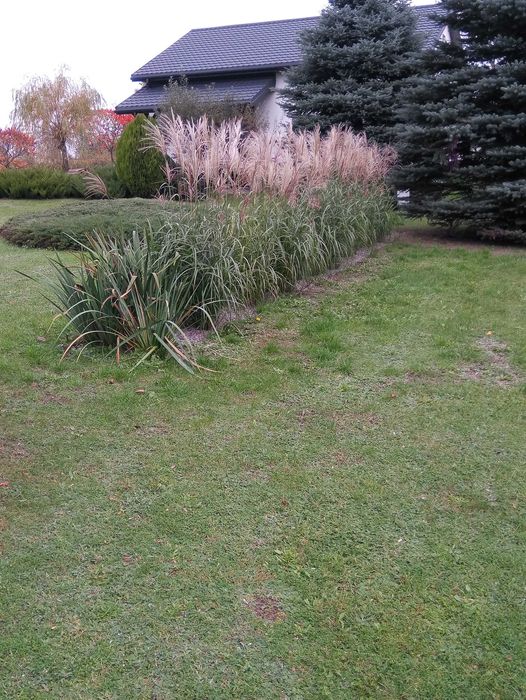 oczyszczalnia biologiczna Bamartech Bio Solid ASR 2-6 osób