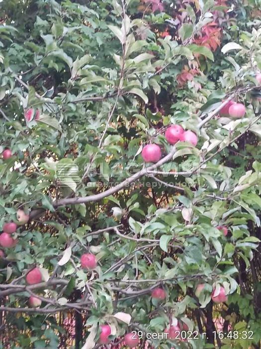 Продаж будинку з євроремонтом меблями та технікою.  Лебедівка