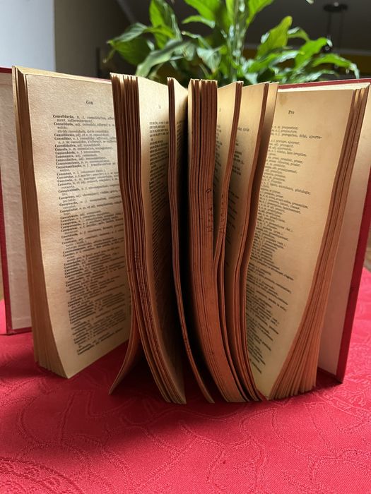 Dicionário Português-Francês