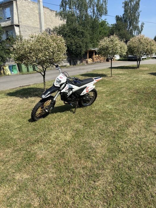 Apollo Rfz 250 Lizzard