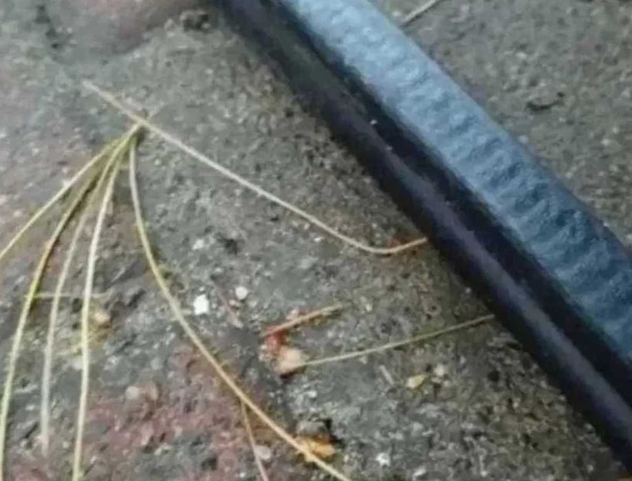 Polonez Caro Atu Plus uszczelki drzwi orginał profilowane bdb
