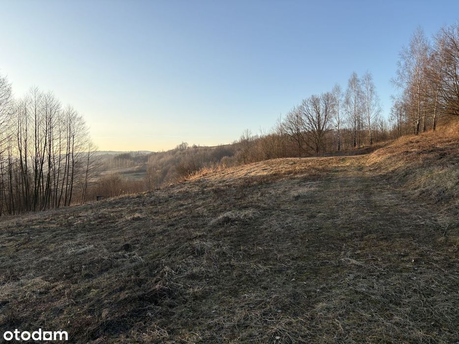 Działka budowlana 49 ar z WZ, widokowa – Borek Stary - Widok 2