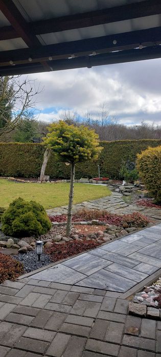 Działka rekreacyjna