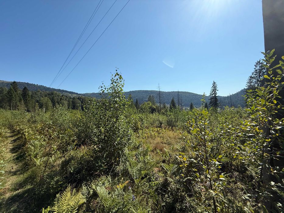 Земельна ділянка 130 соток, м.Яремче (Хижки), поділ від 0,10 га