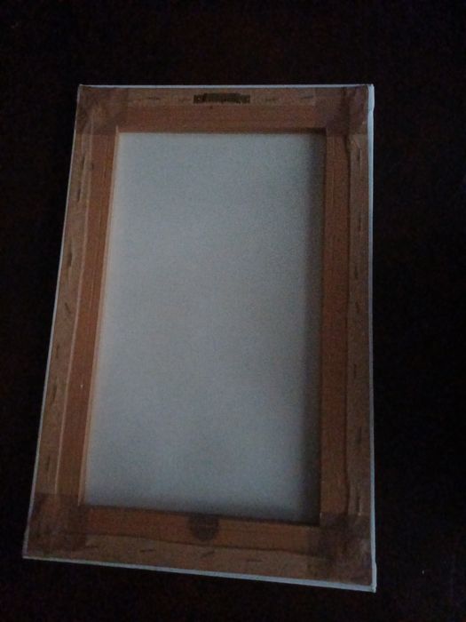 Bonito Quadro Son Goku
