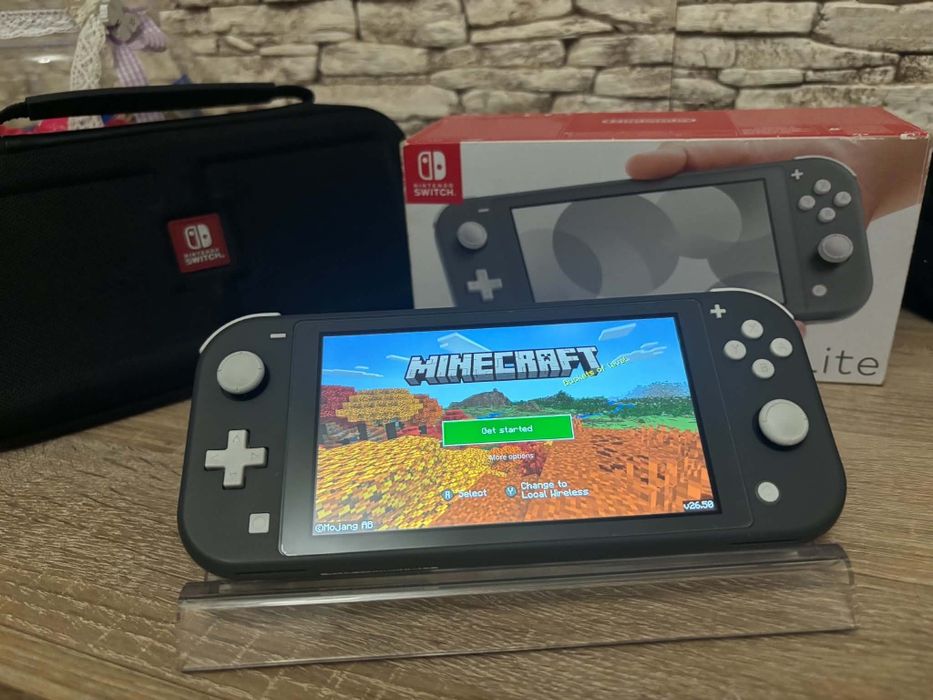 Nintendo switch little