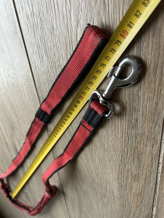 Szelki M, smycz, pas - Canicross komplet