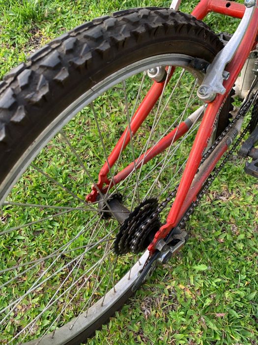 Bicicleta  para adulto