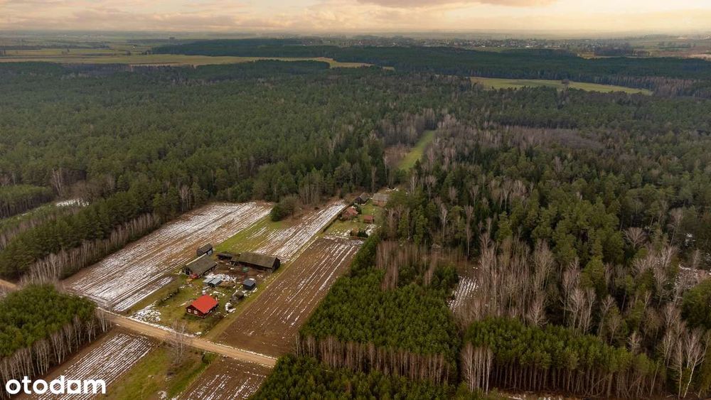 Zadbane siedlisko z charakterem tradycyjnego, podlaskiego gospodarstwa