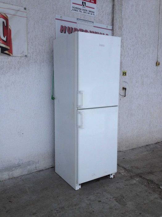 lodówka Electrolux ERB34250W8