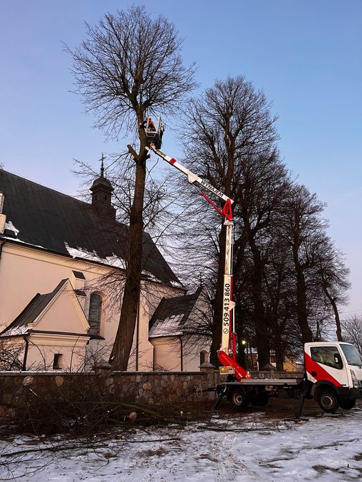 Usługi podnośnikiem koszowym