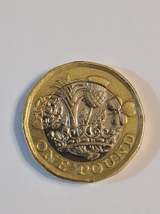Moeda one pound Elizabeth II, 2016